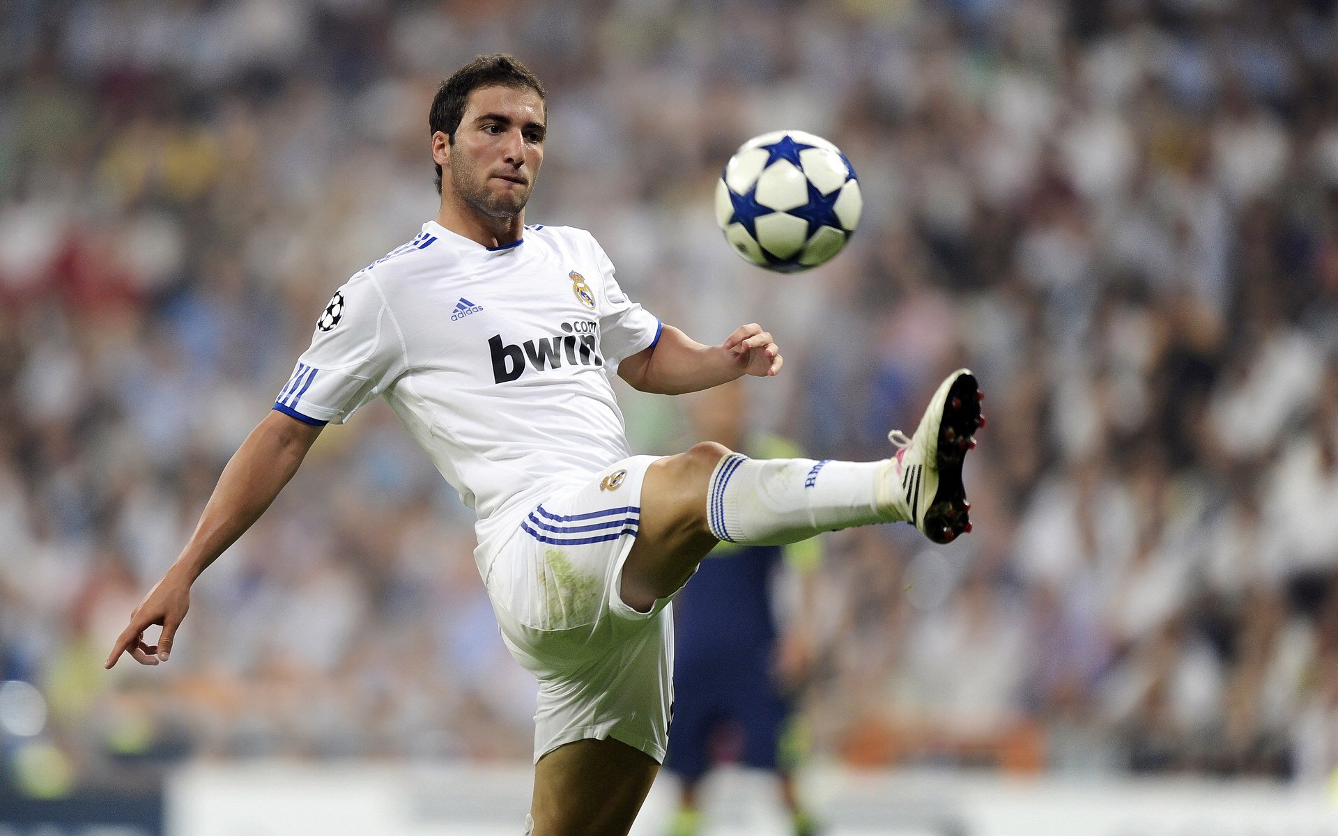 综合格斗赛场焦点！澳大利亚队对阵葡萄牙队，豪门翻车，赛后引发巨大争议